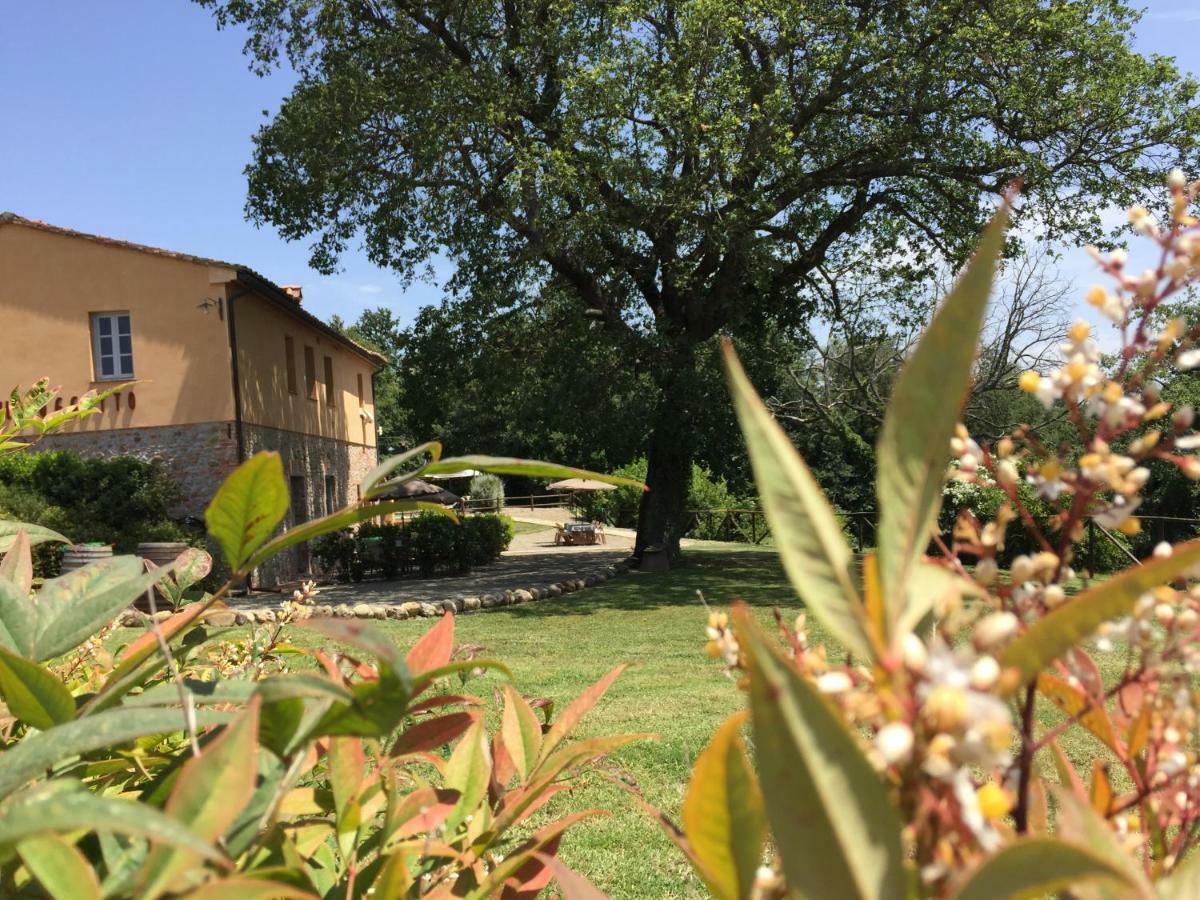 Agriturismo Pieve De Pitti Terricciola Extérieur photo