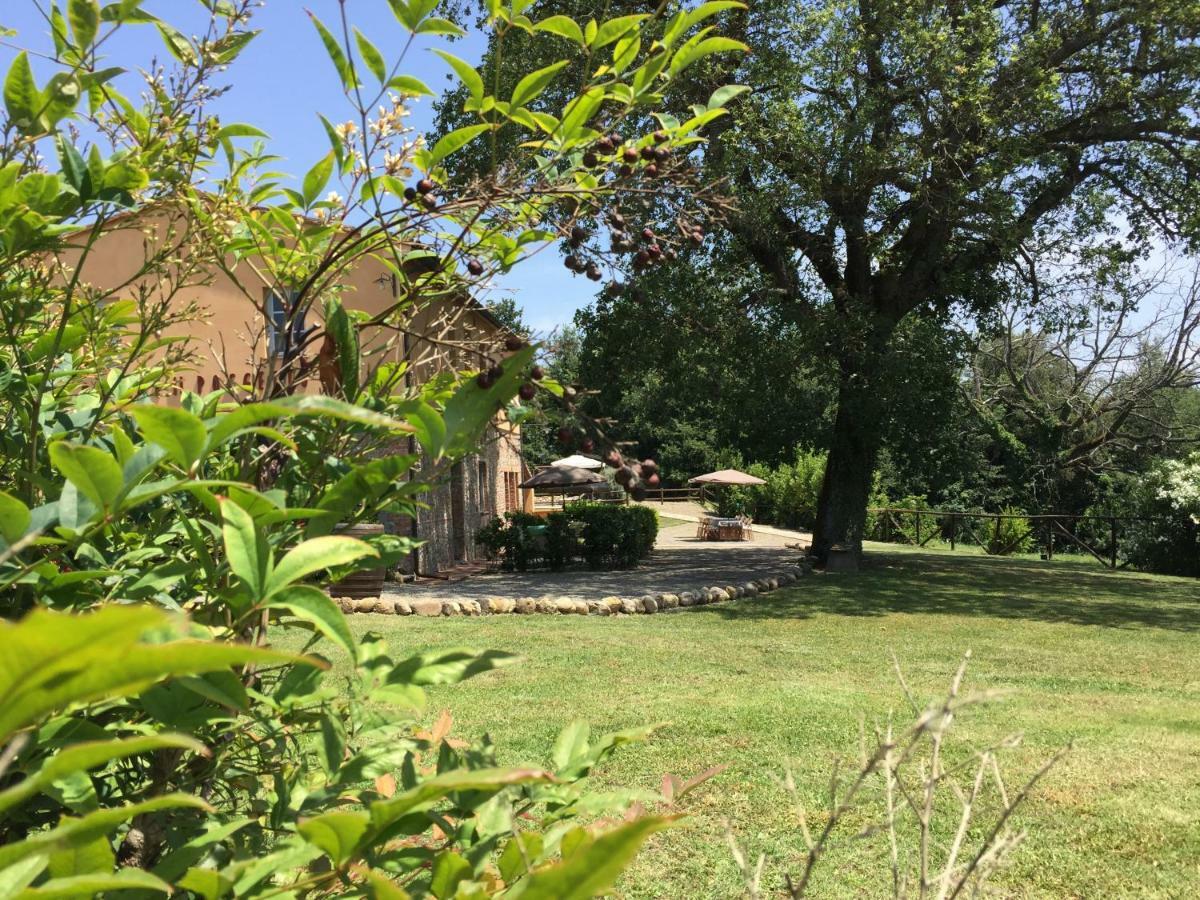 Agriturismo Pieve De Pitti Terricciola Extérieur photo