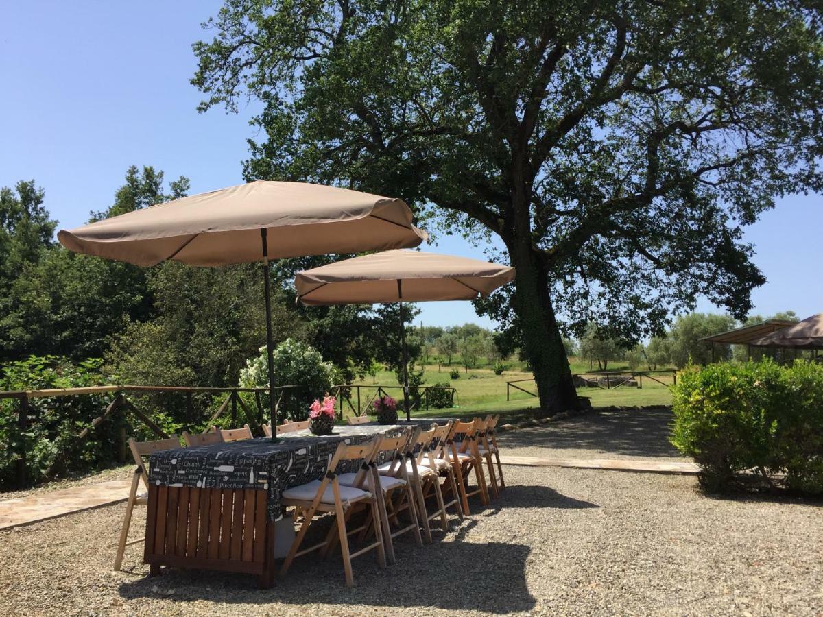 Agriturismo Pieve De Pitti Terricciola Extérieur photo