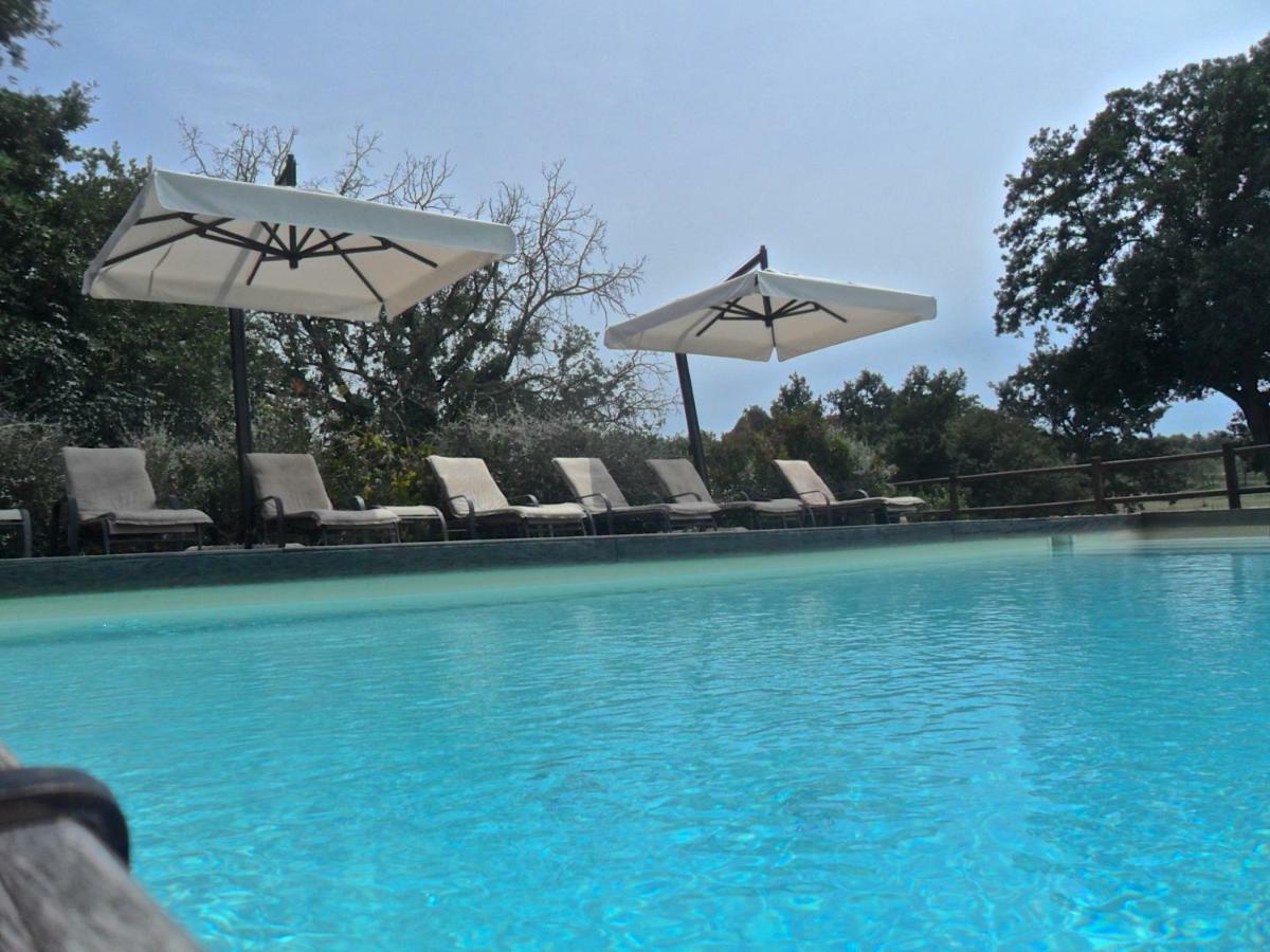 Agriturismo Pieve De Pitti Terricciola Extérieur photo